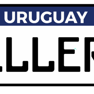 Matrículas personalizadas